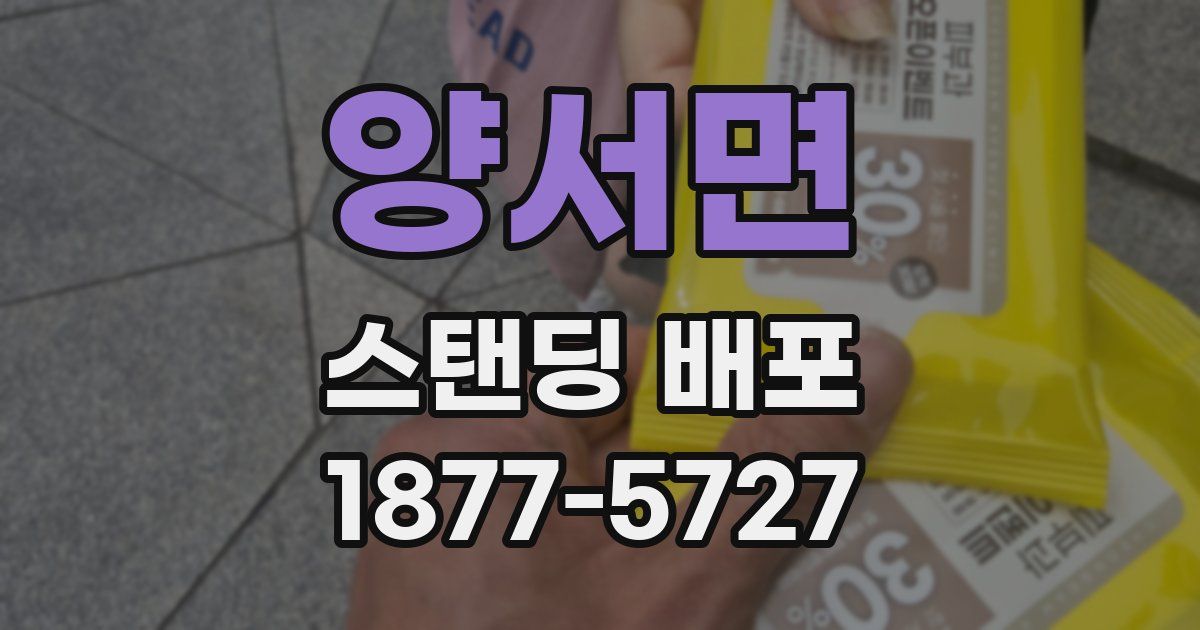 양서면 스탠딩 배포