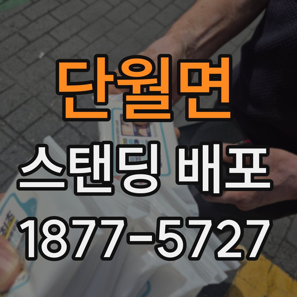 단월면 스탠딩 배포