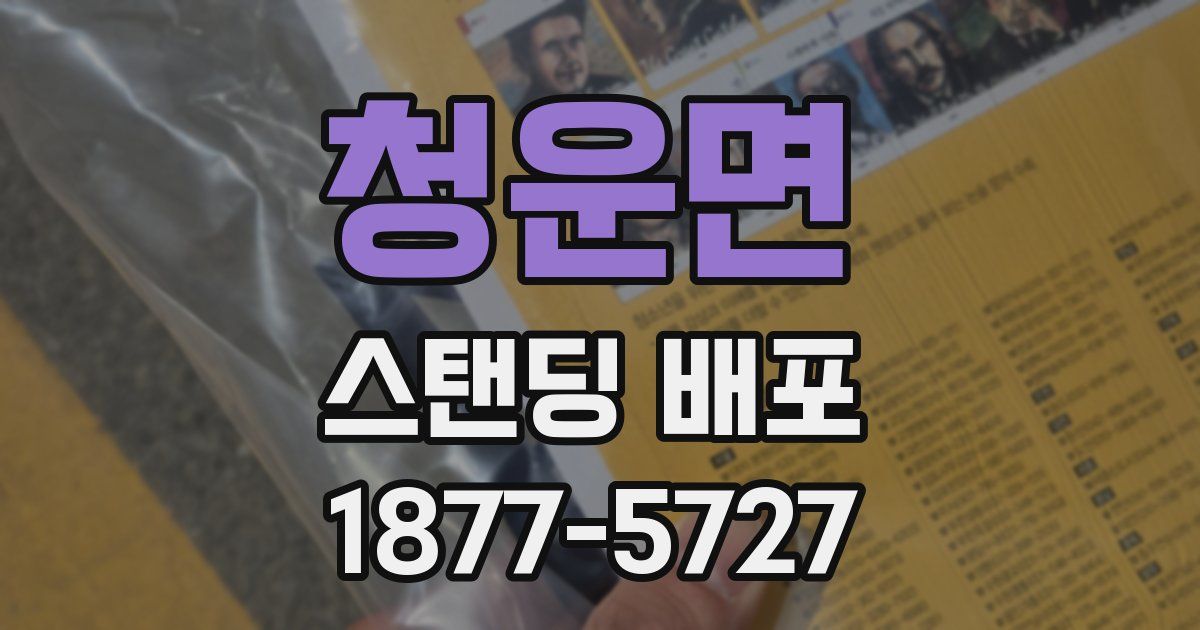 청운면 스탠딩 배포