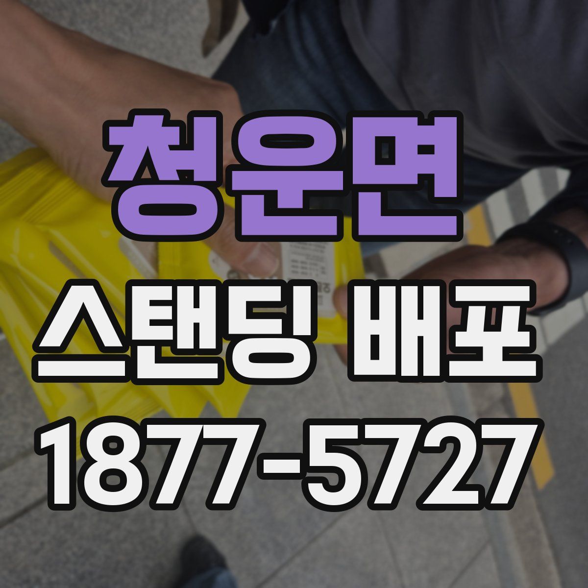 청운면 스탠딩 배포