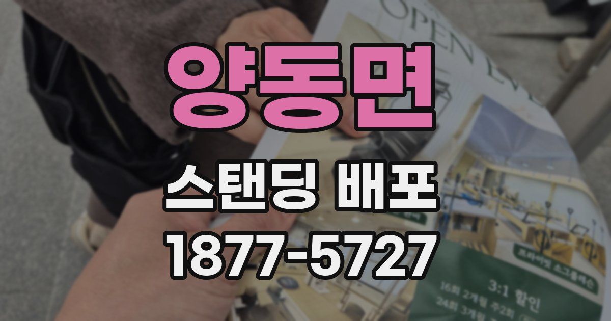 양동면 스탠딩 배포