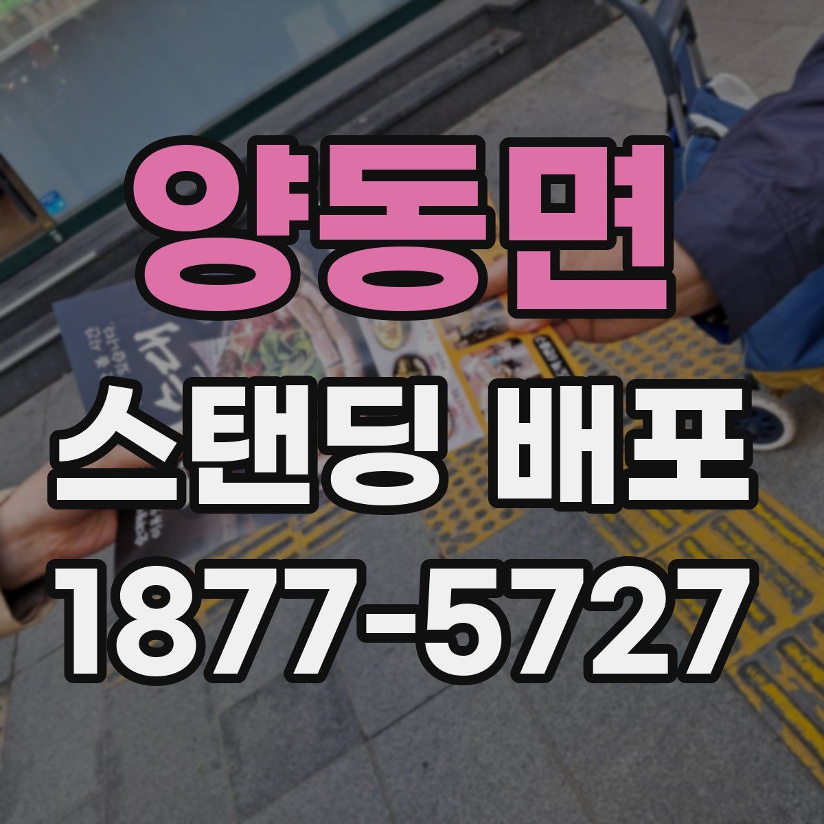 양동면 스탠딩 배포