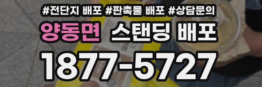 양동면 스탠딩 배포