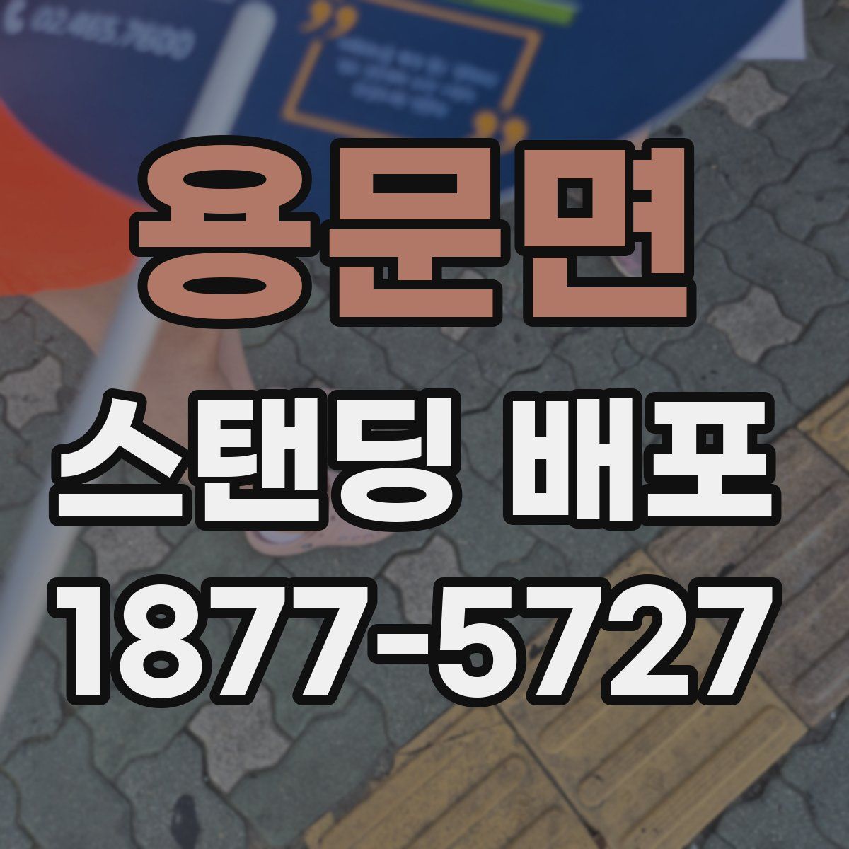 용문면 스탠딩 배포
