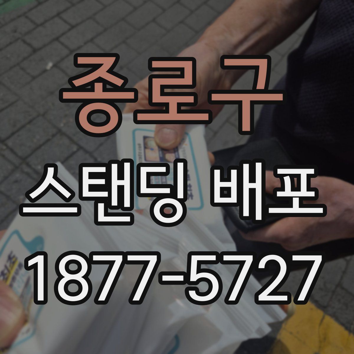 종로구 스탠딩 배포