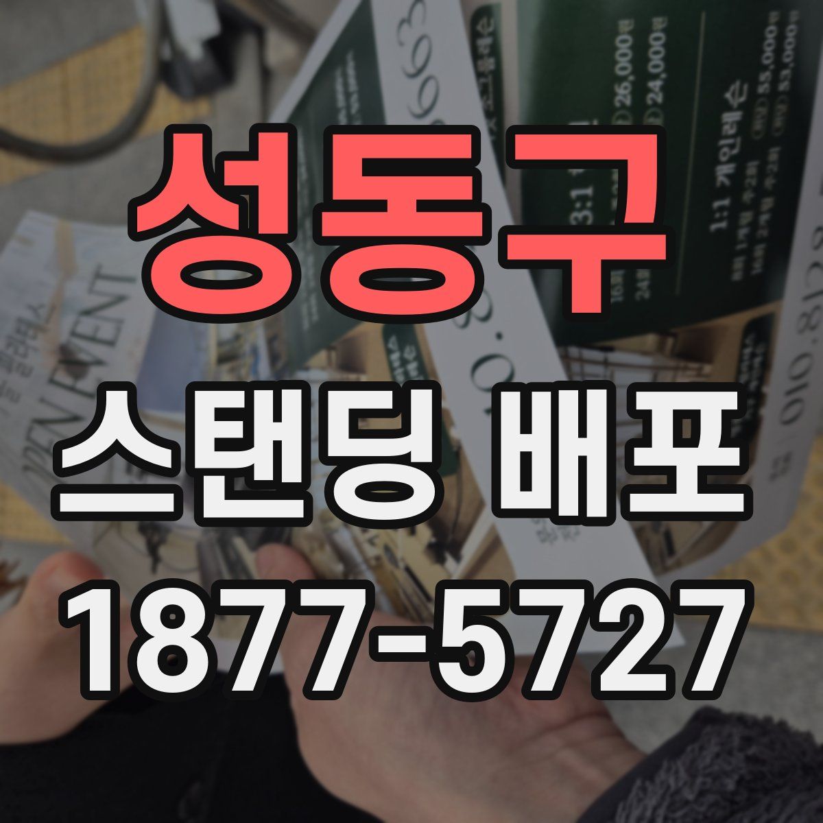 성동구 스탠딩 배포