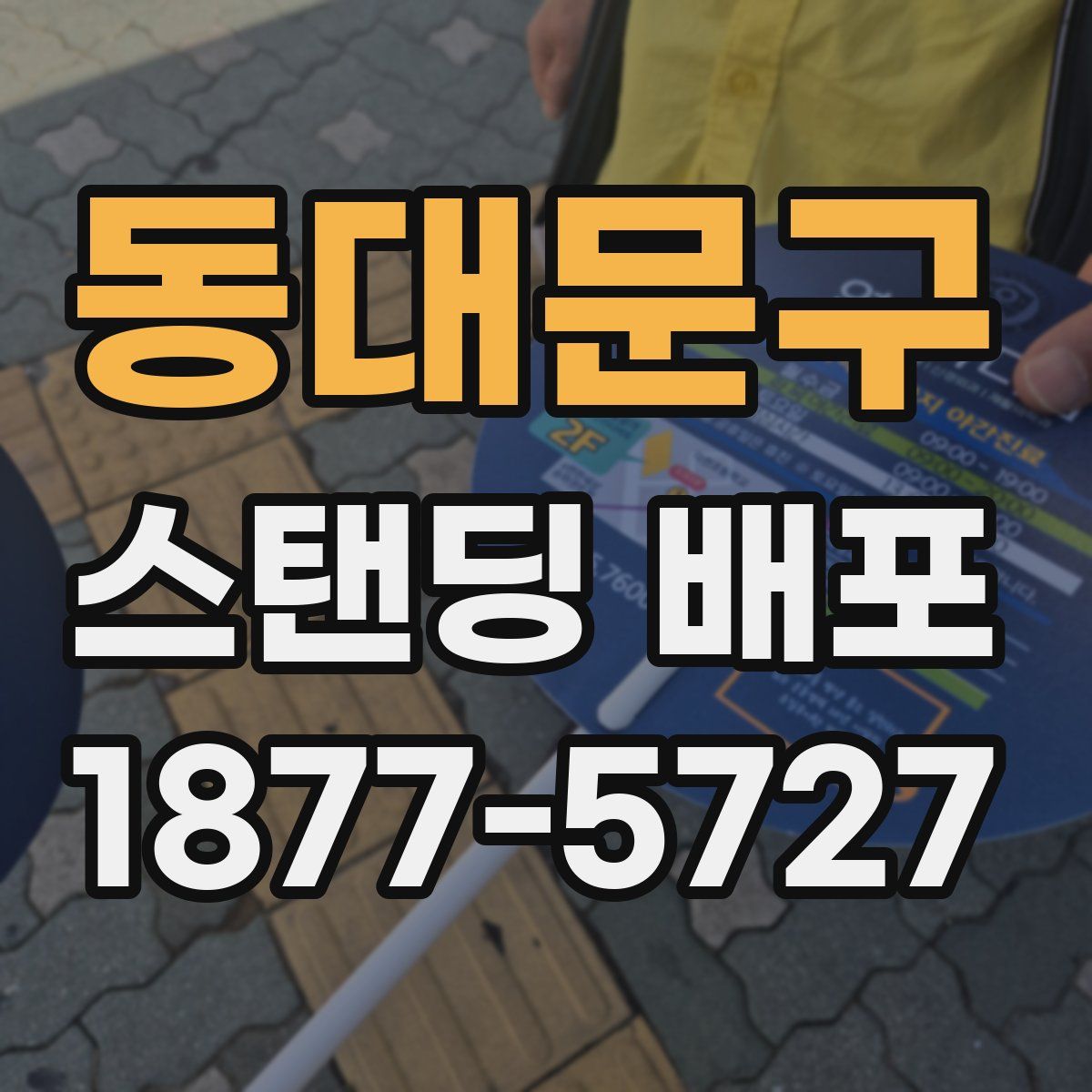 동대문구 스탠딩 배포