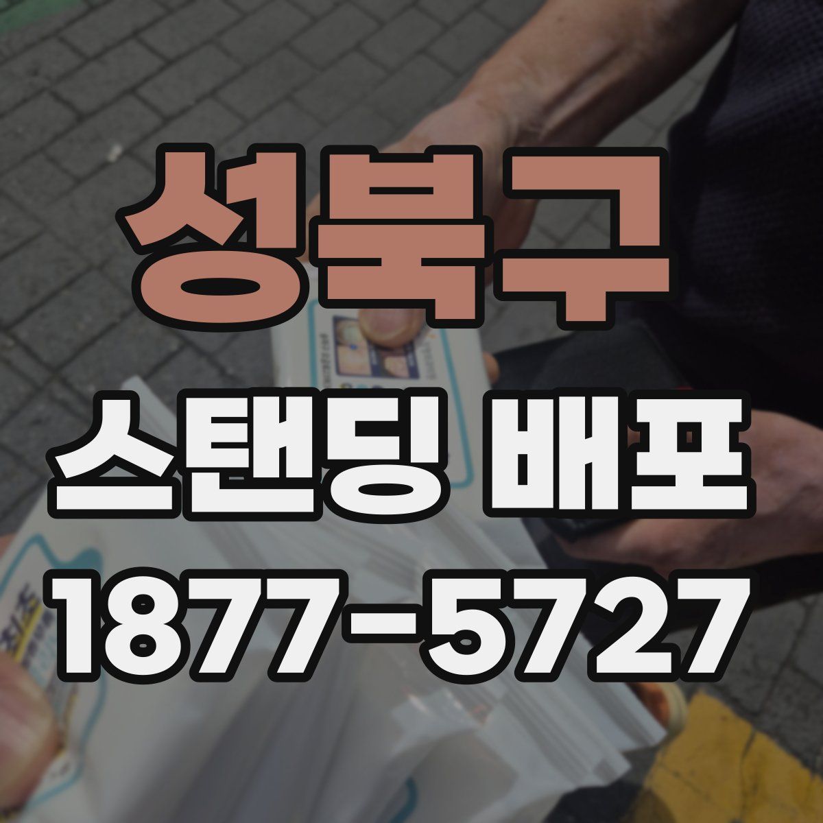 성북구 스탠딩 배포