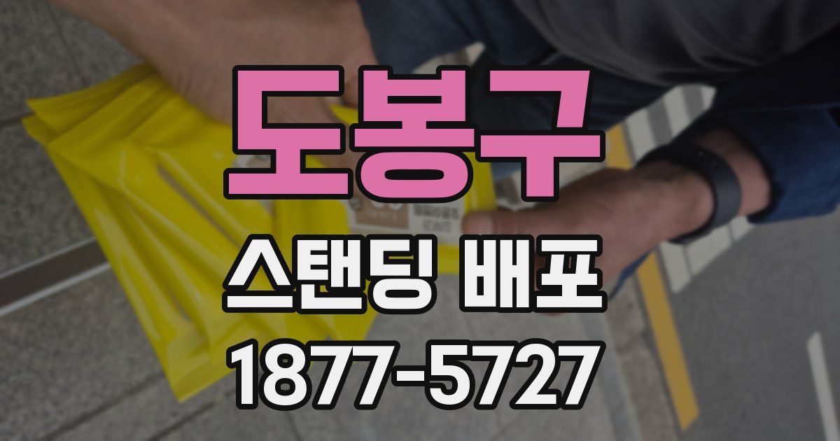도봉구 스탠딩 배포