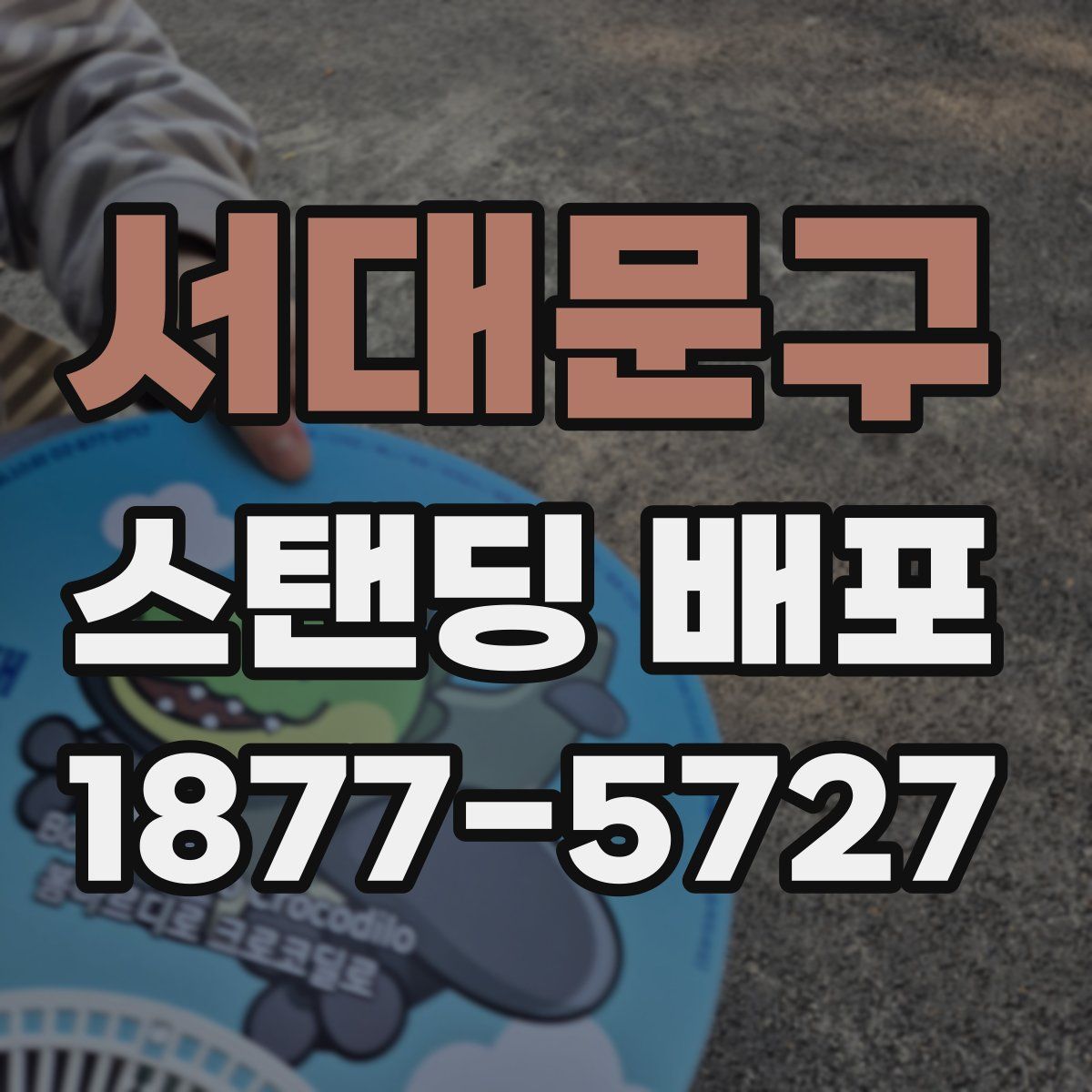 서대문구 스탠딩 배포