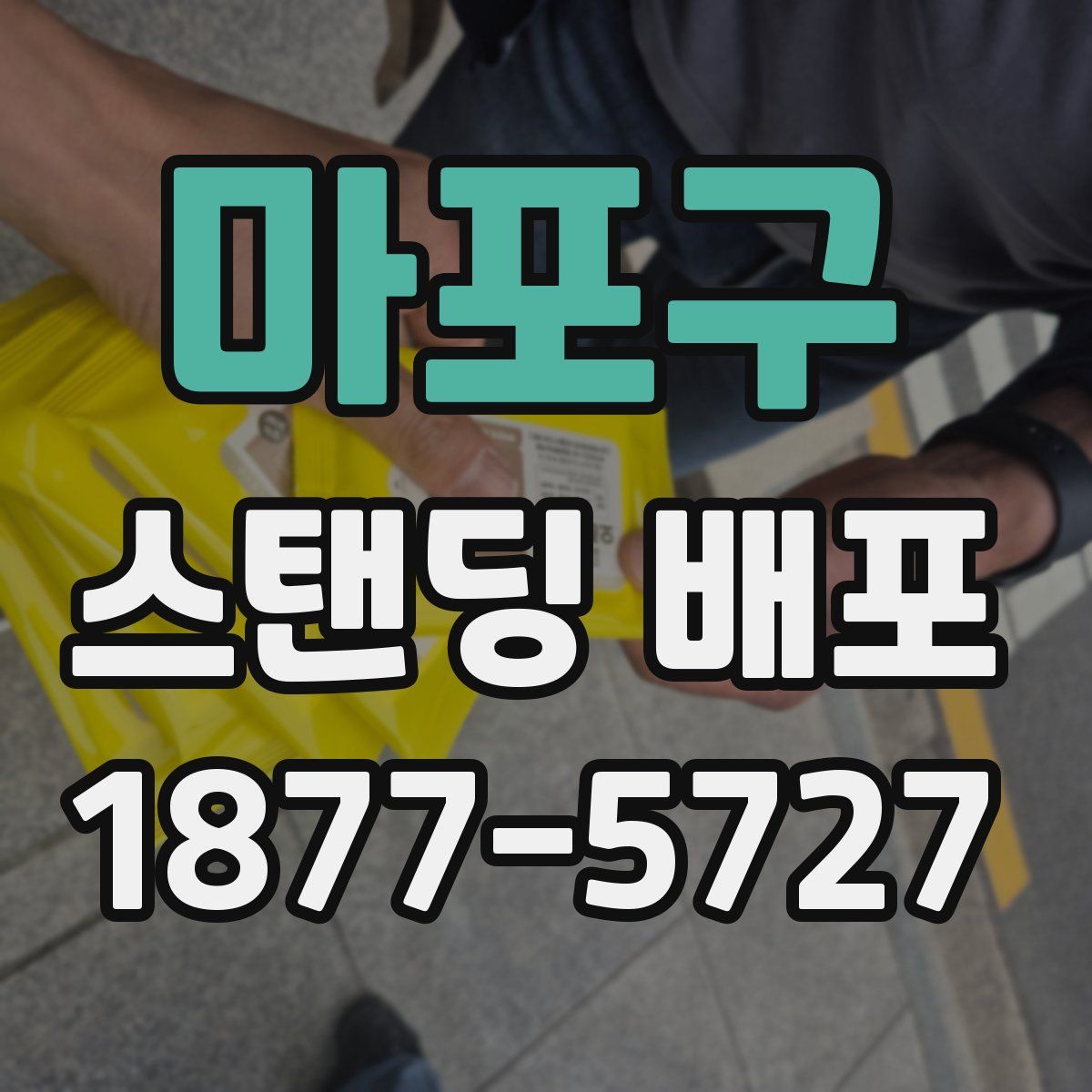 마포구 스탠딩 배포