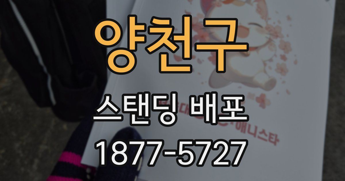 양천구 스탠딩 배포