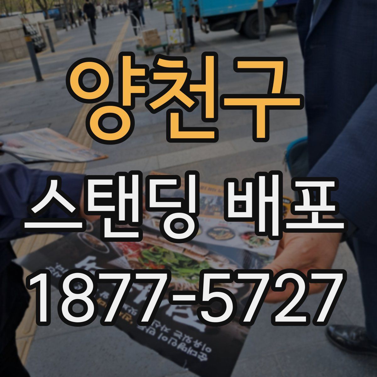 양천구 스탠딩 배포
