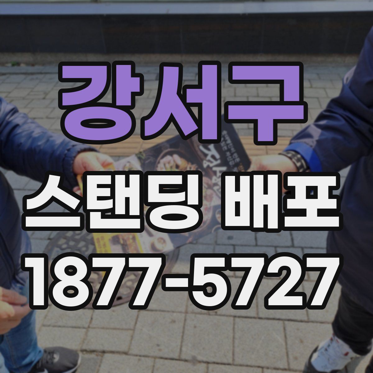 강서구 스탠딩 배포