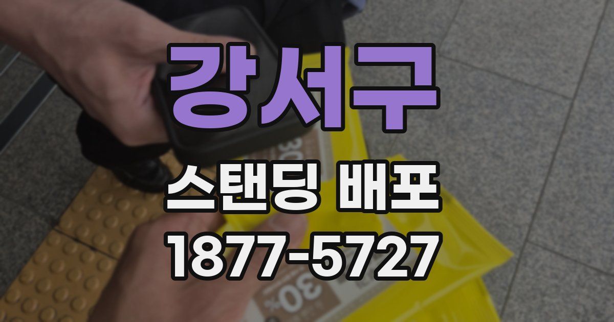 강서구 스탠딩 배포