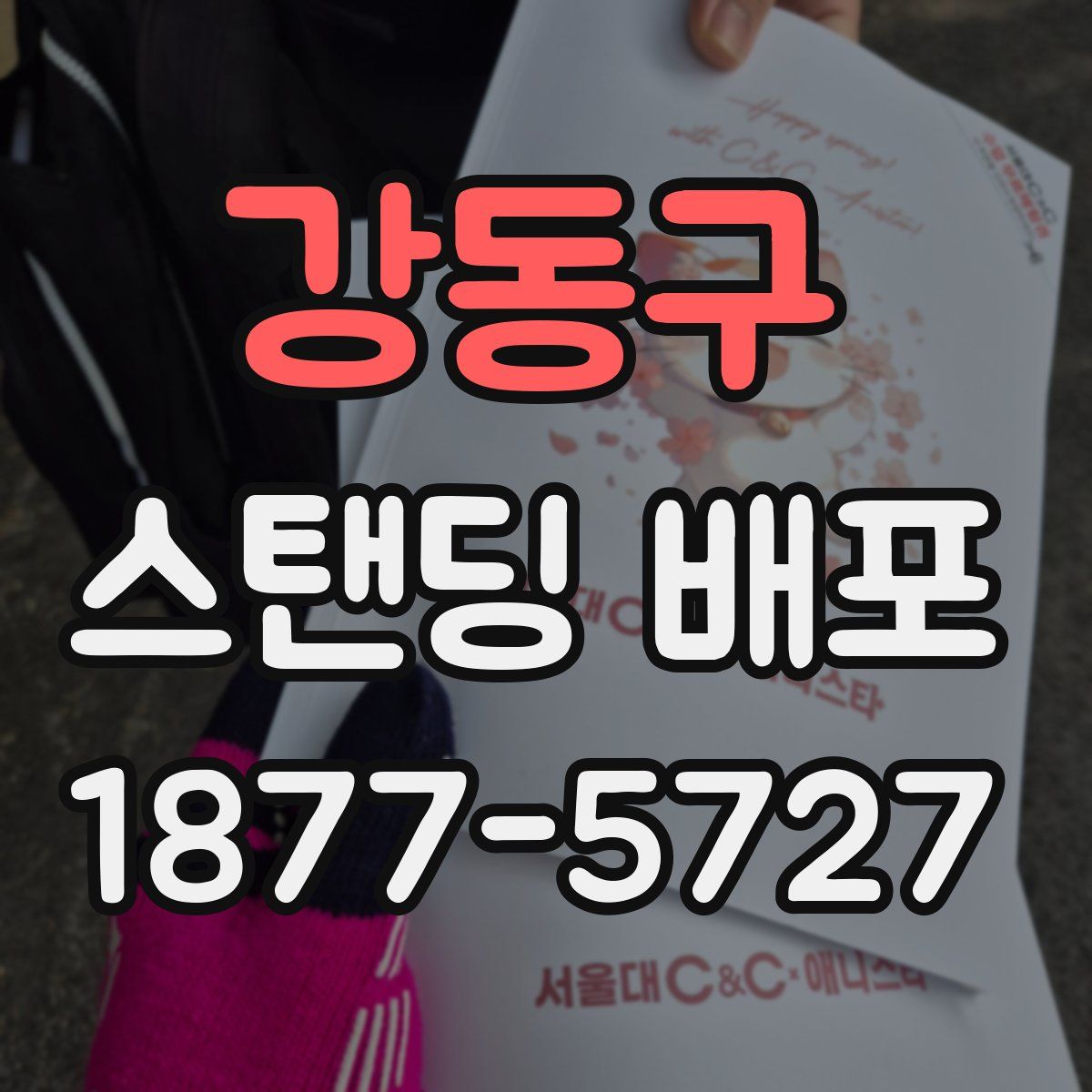 강동구 스탠딩 배포
