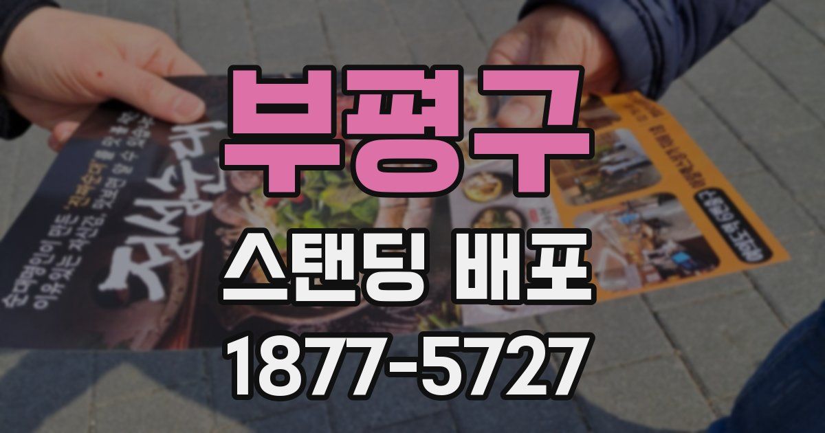 부평구 스탠딩 배포