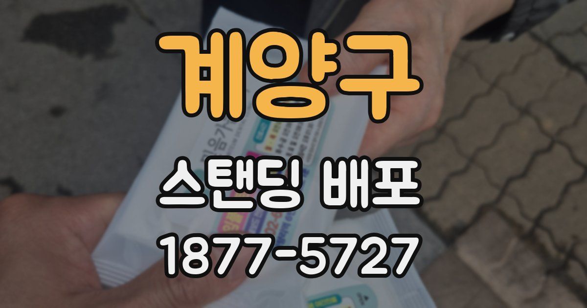 계양구 스탠딩 배포