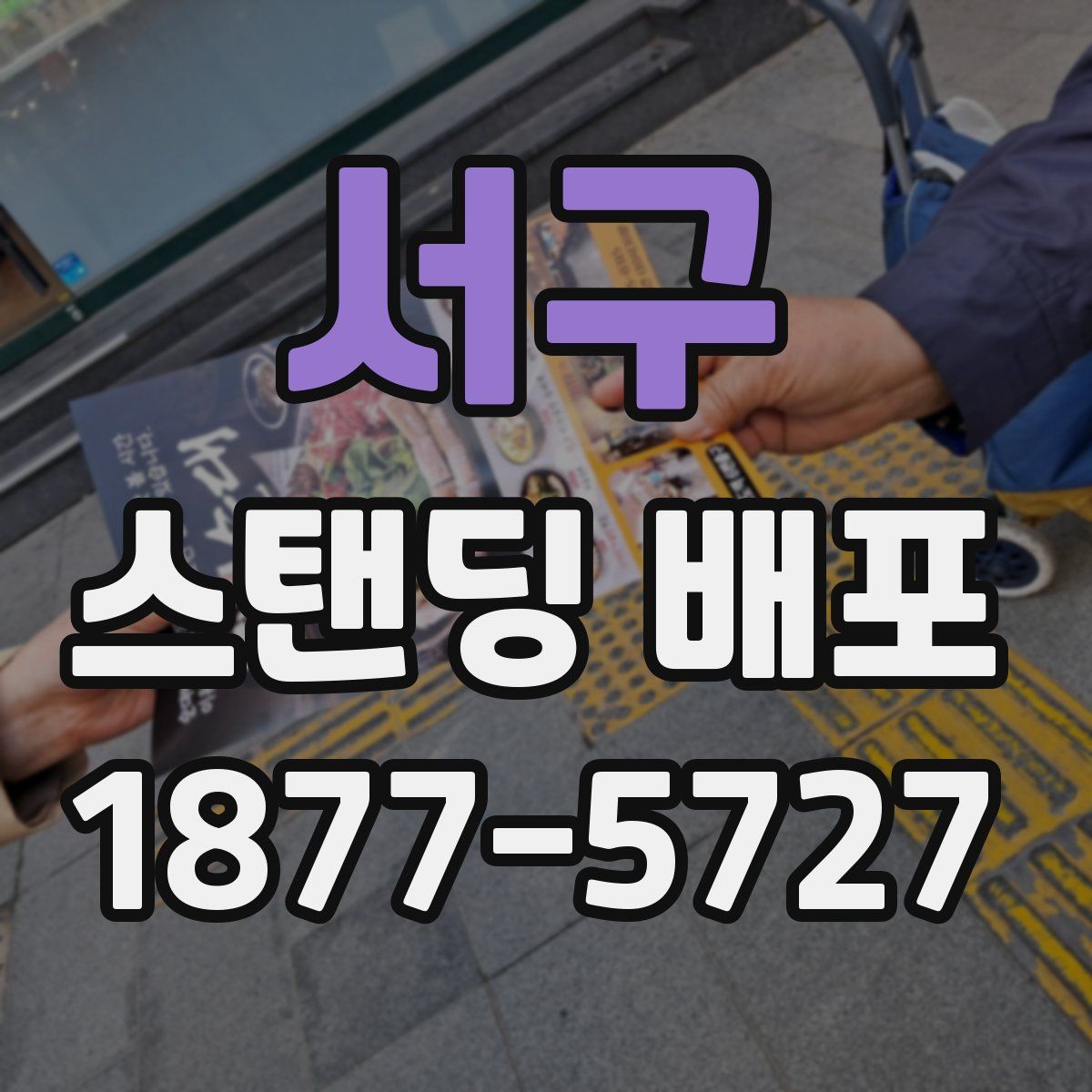 서구 스탠딩 배포