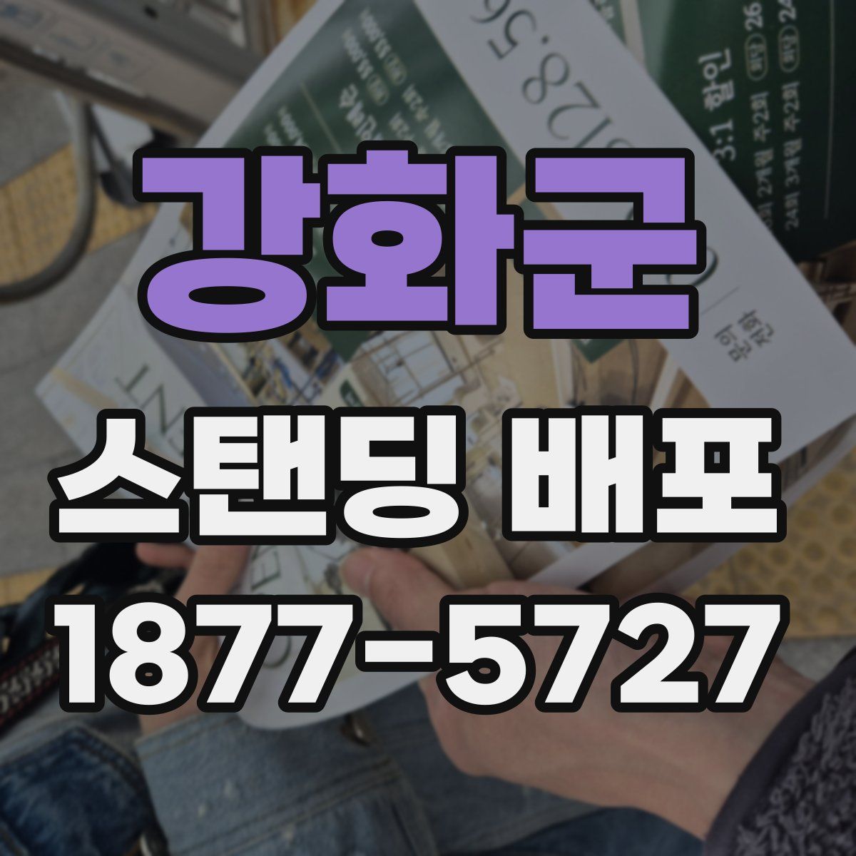 강화군 스탠딩 배포