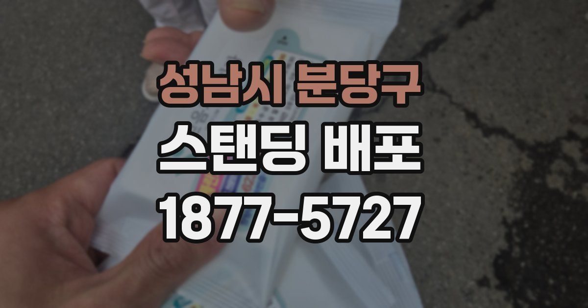 성남시 분당구 스탠딩 배포