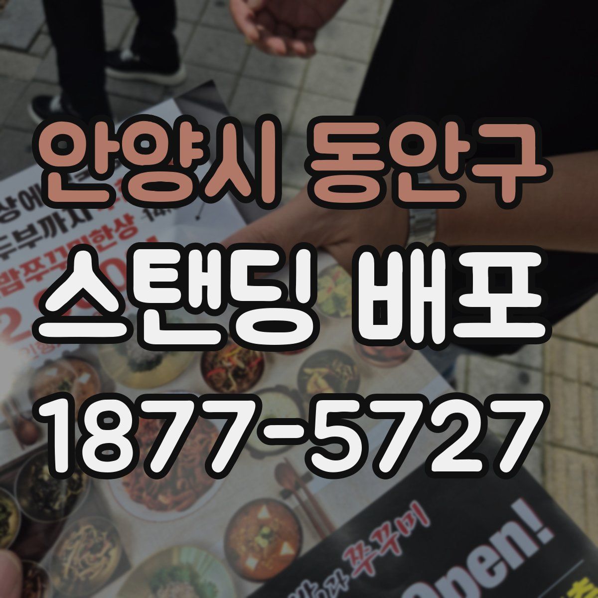 안양시 동안구 스탠딩 배포