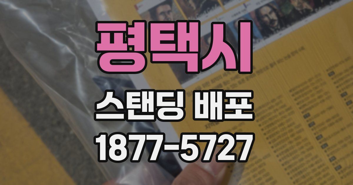 평택시 스탠딩 배포