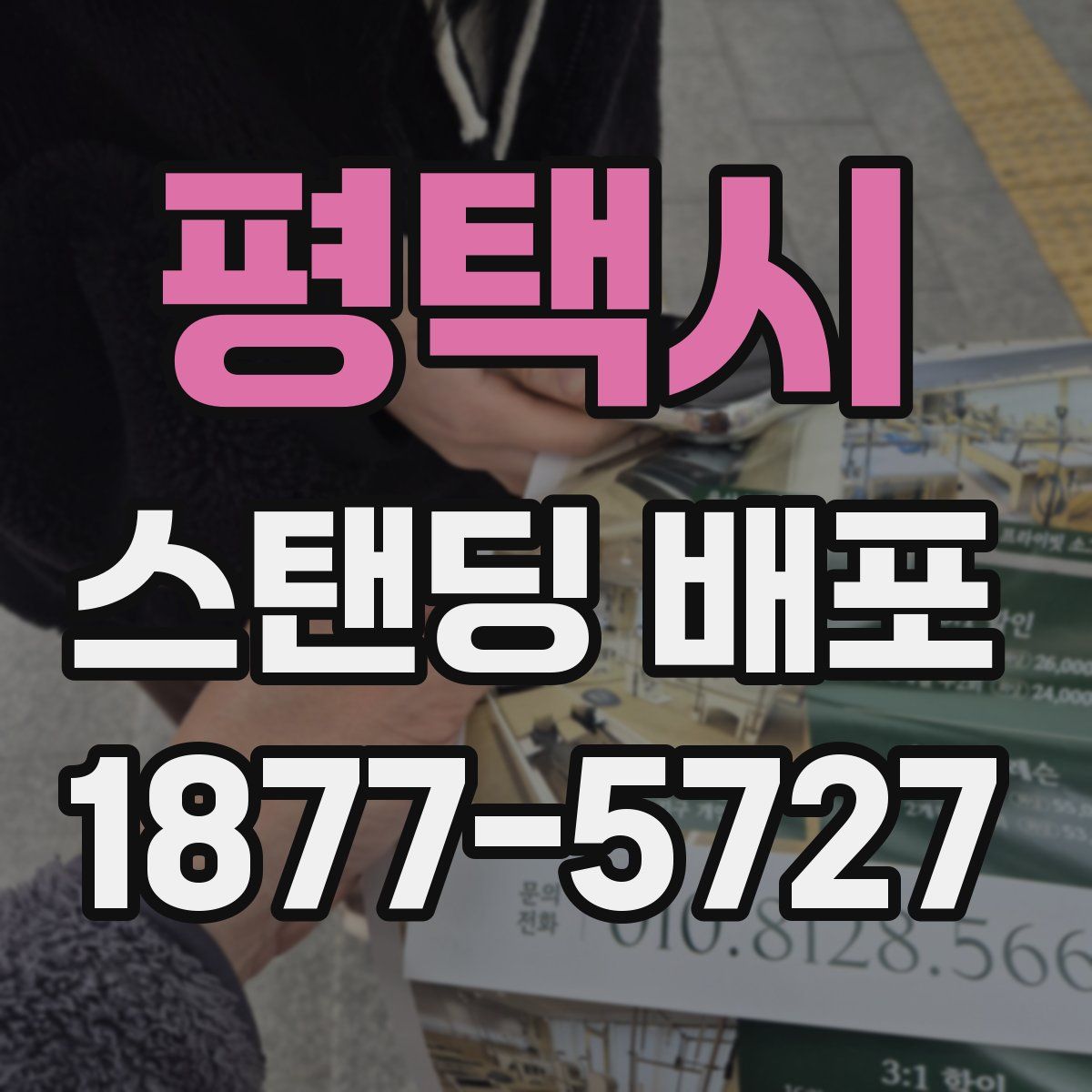 평택시 스탠딩 배포