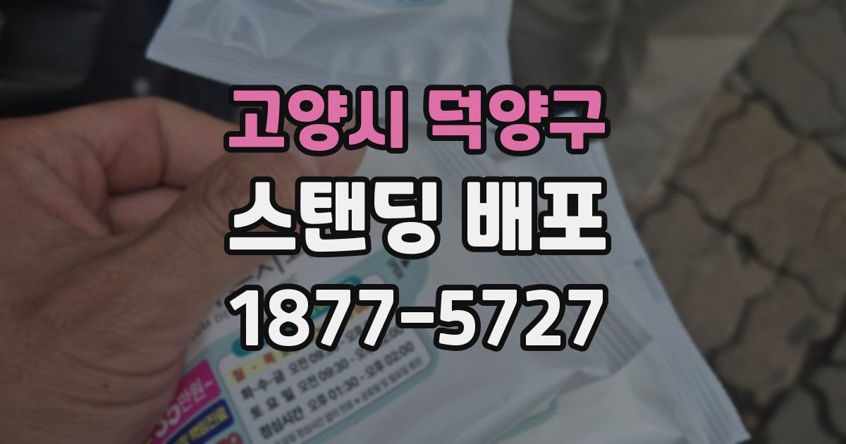 고양시 덕양구 스탠딩 배포