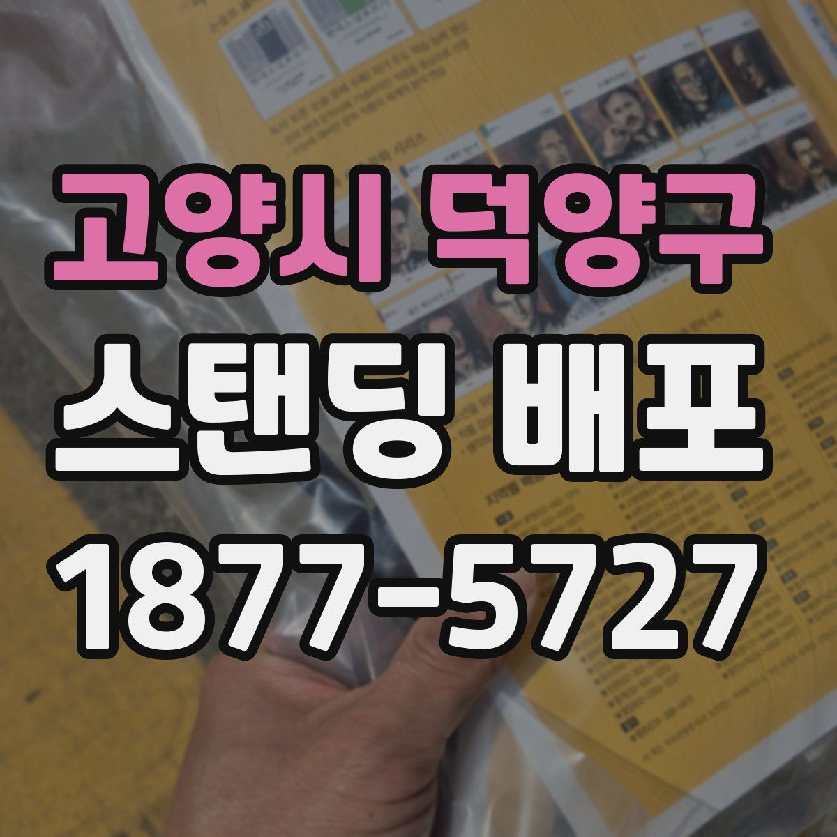고양시 덕양구 스탠딩 배포