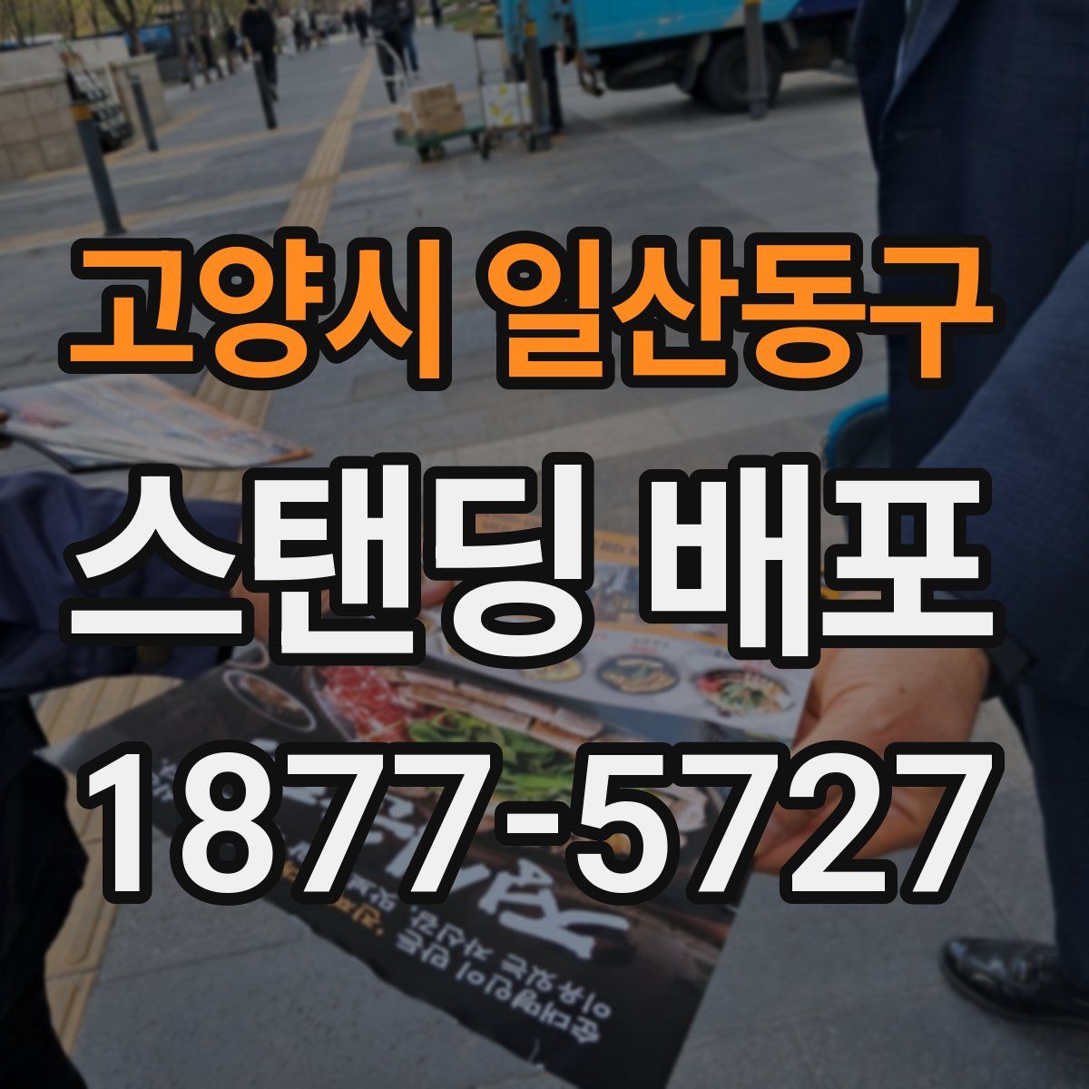 고양시 일산동구 스탠딩 배포