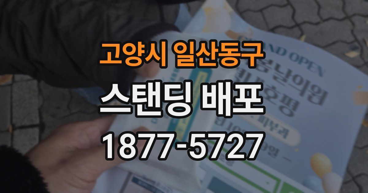 고양시 일산동구 스탠딩 배포