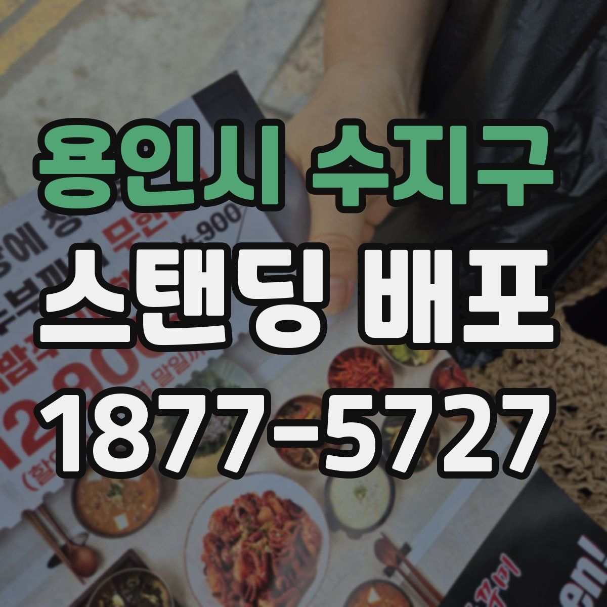용인시 수지구 스탠딩 배포