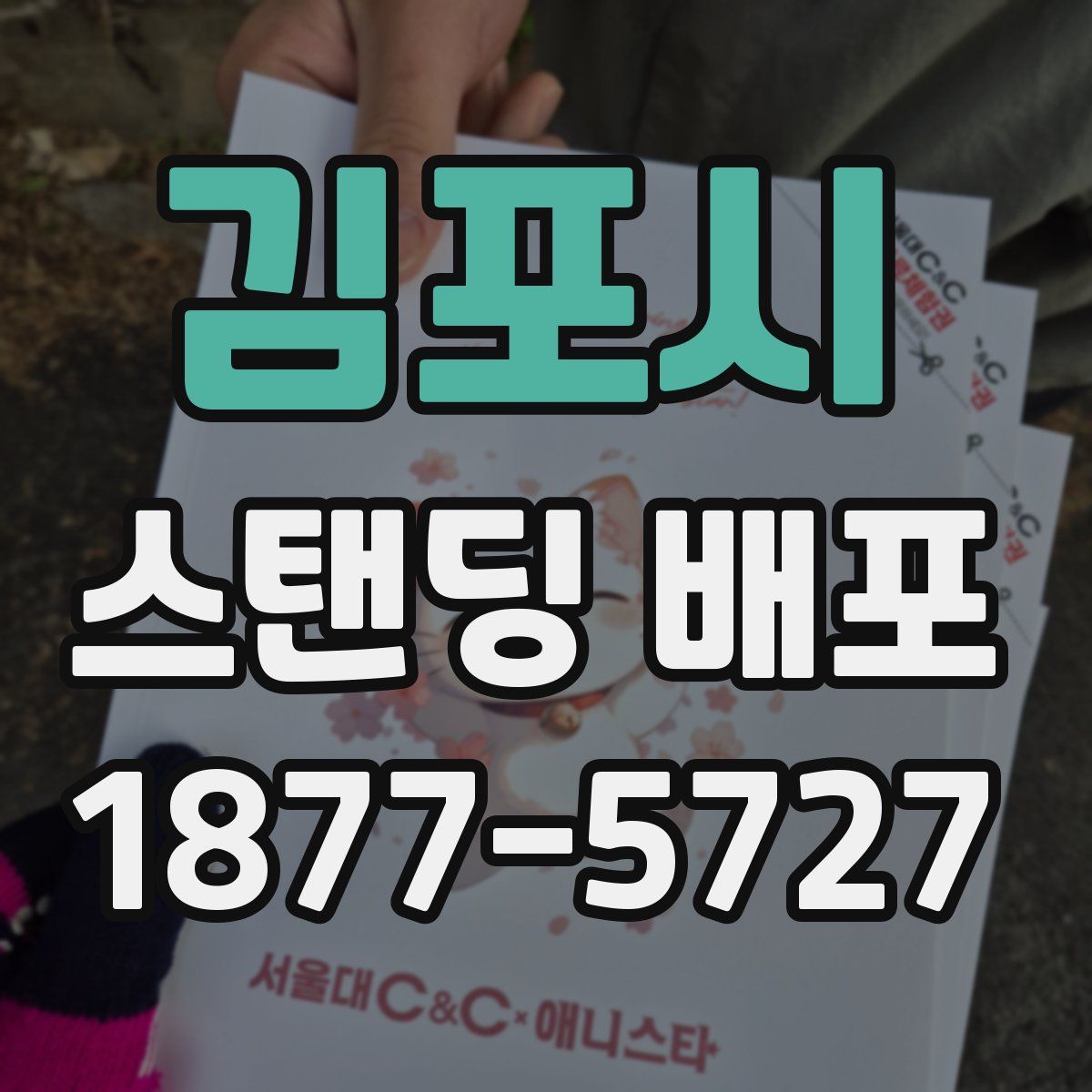 김포시 스탠딩 배포