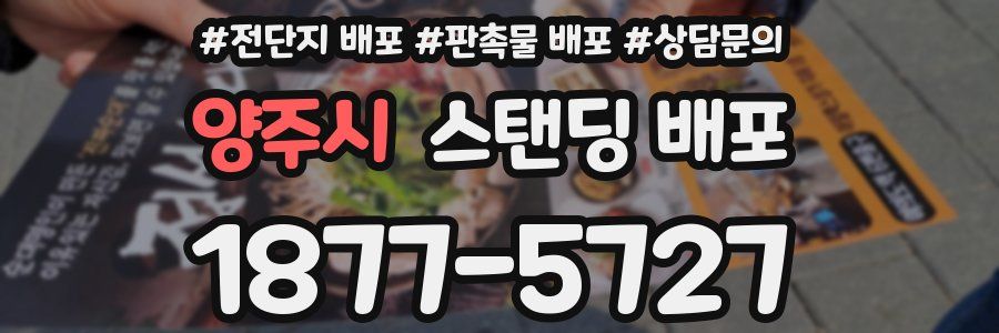 양주시 스탠딩 배포