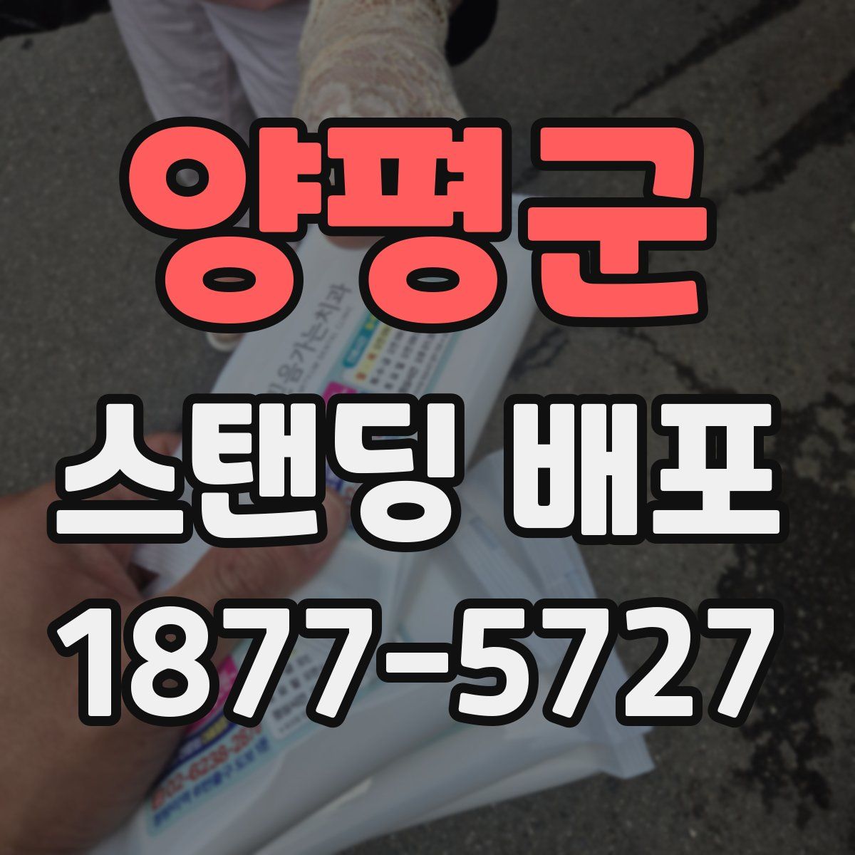 양평군 스탠딩 배포
