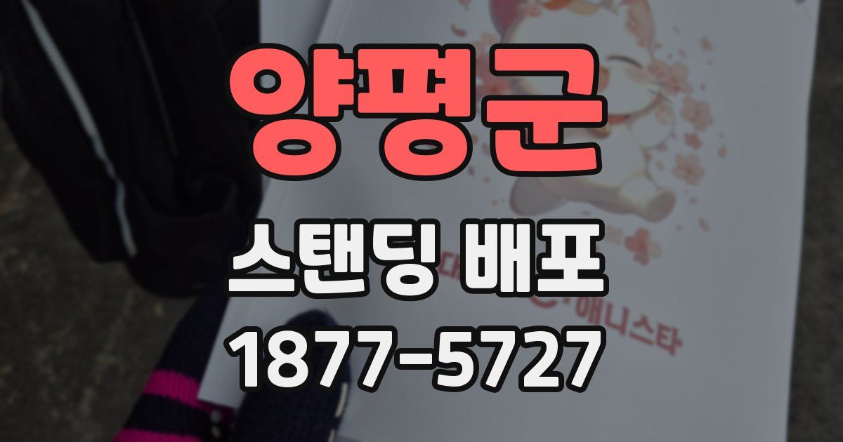 양평군 스탠딩 배포