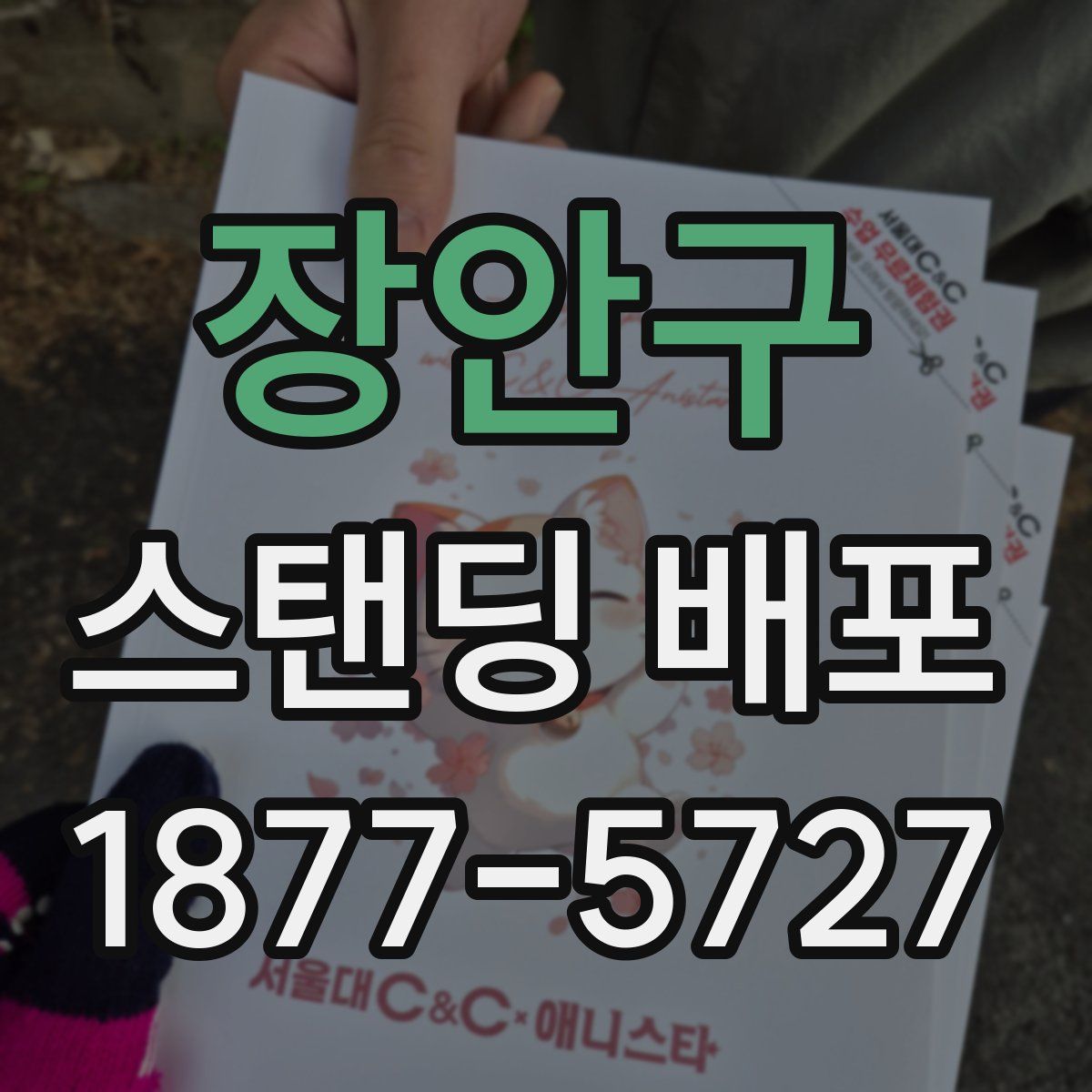 장안구 스탠딩 배포