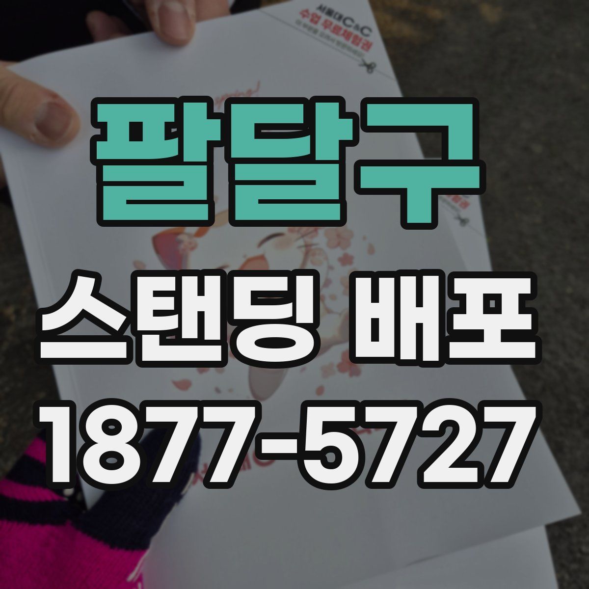 팔달구 스탠딩 배포