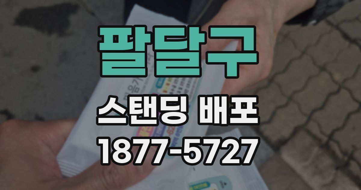 팔달구 스탠딩 배포