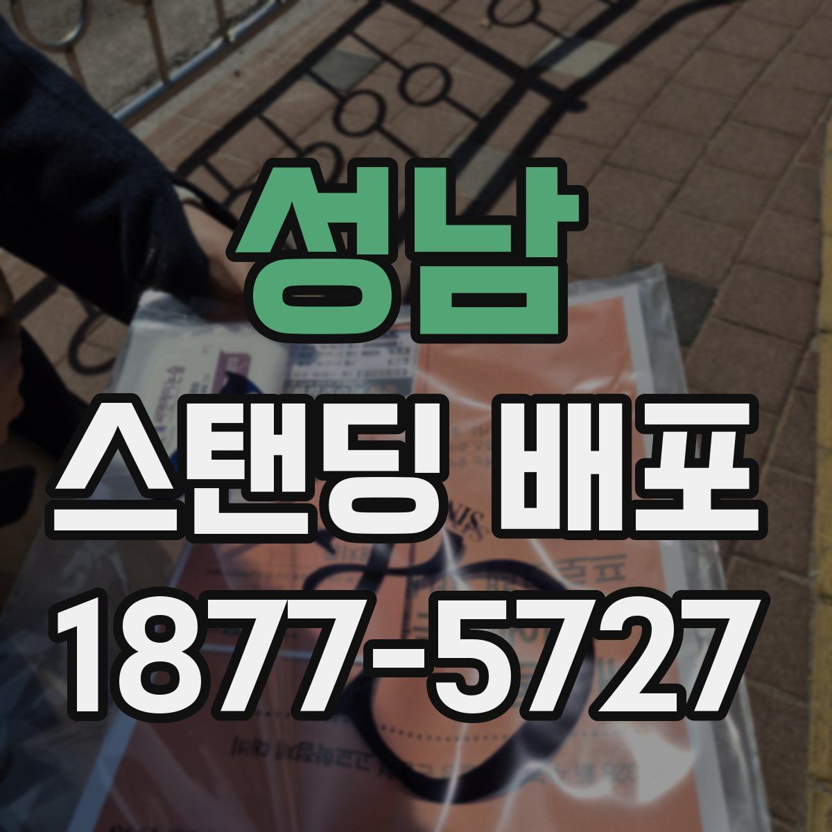 성남 스탠딩 배포