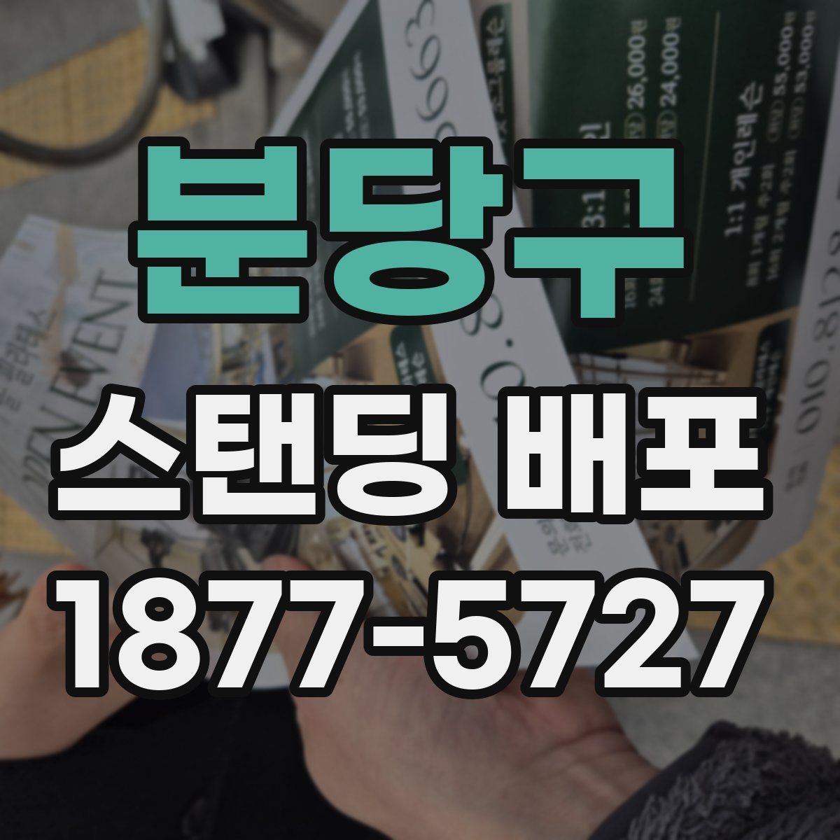 분당구 스탠딩 배포