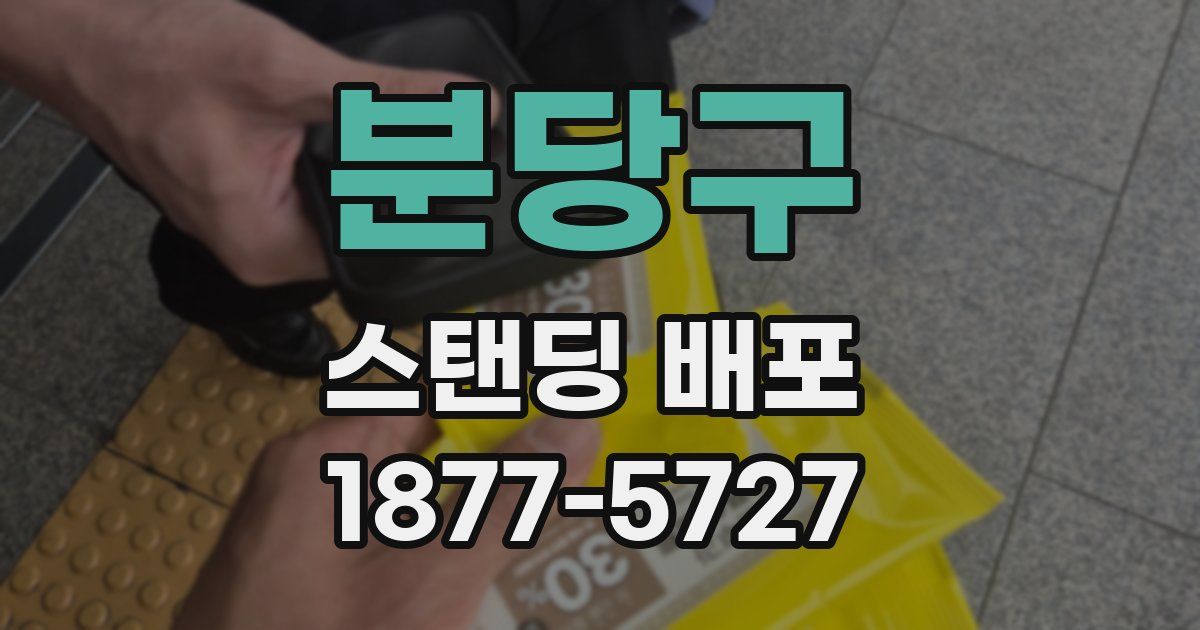 분당구 스탠딩 배포