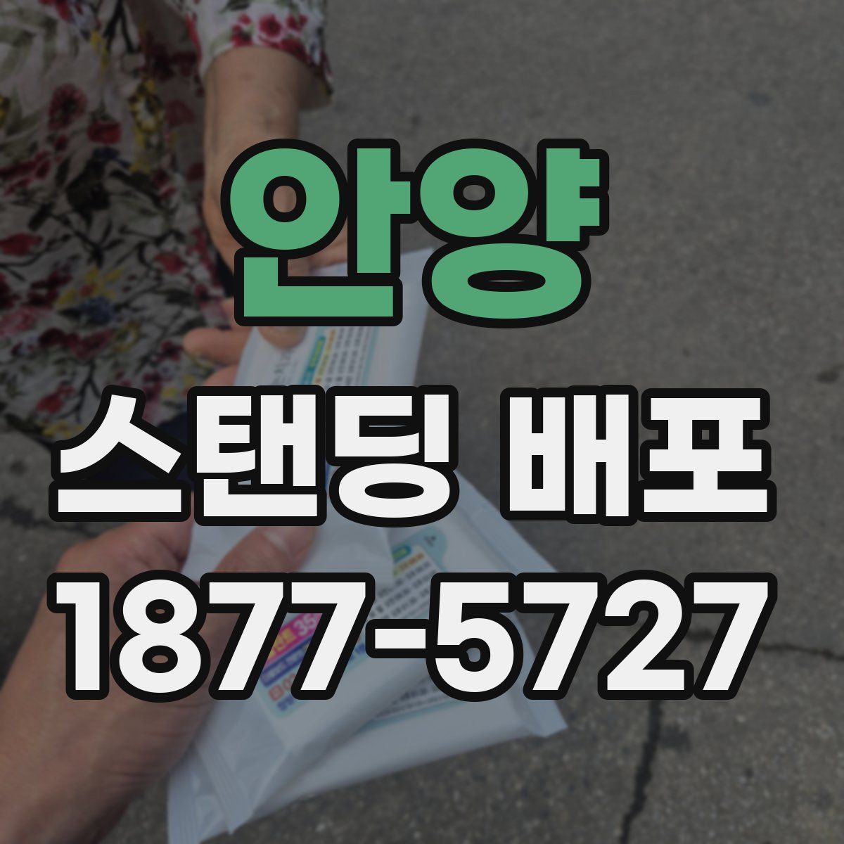 안양 스탠딩 배포