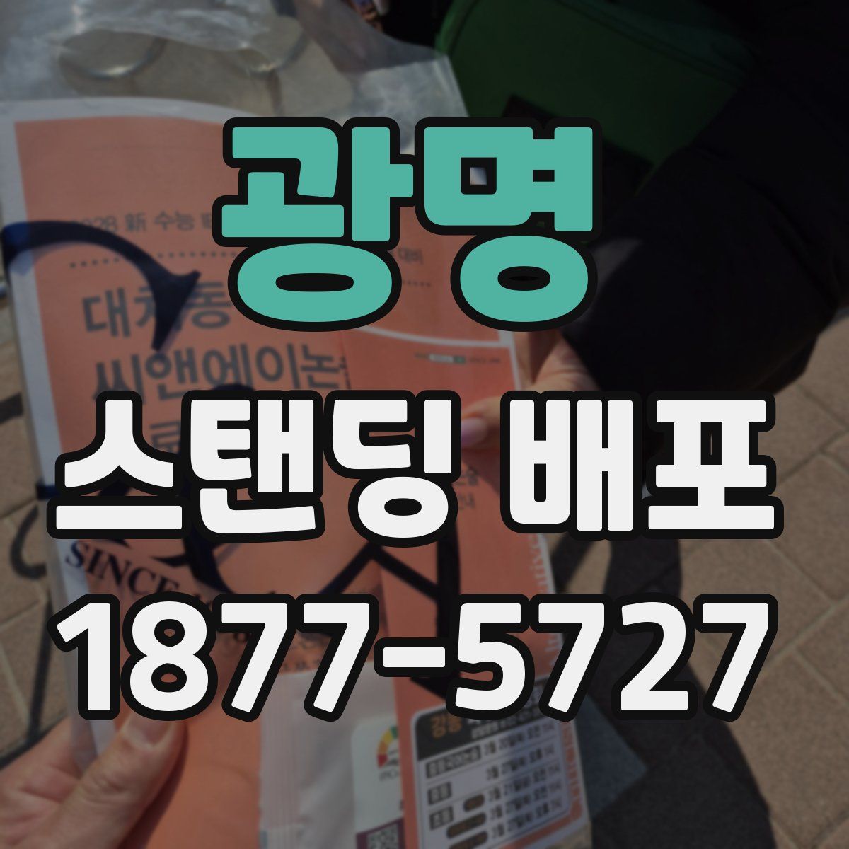 광명 스탠딩 배포