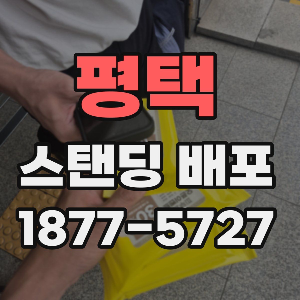 평택 스탠딩 배포