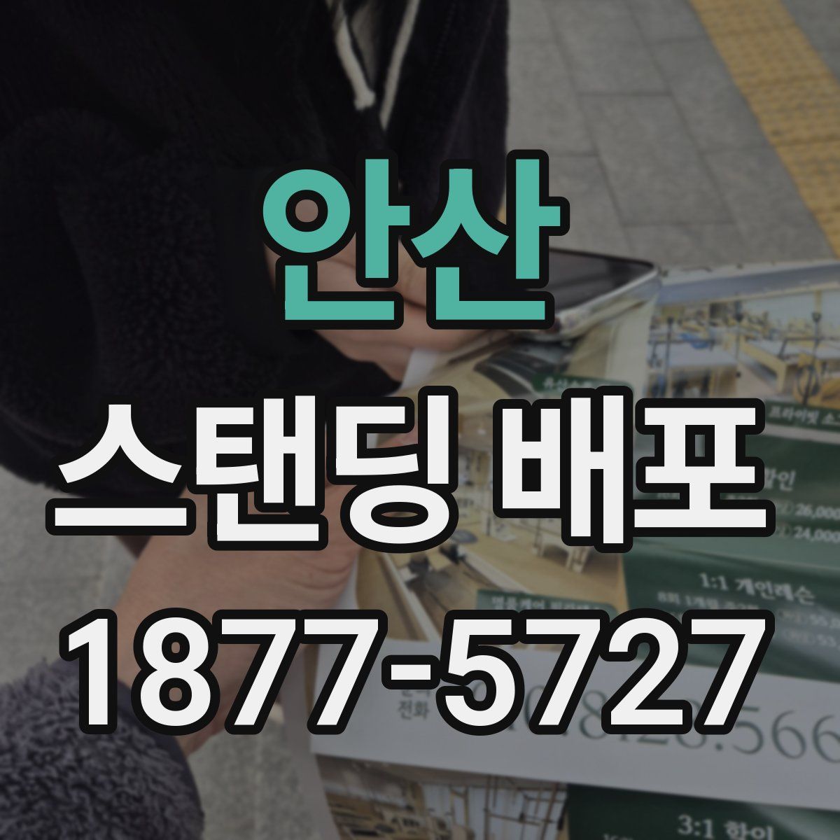 안산 스탠딩 배포