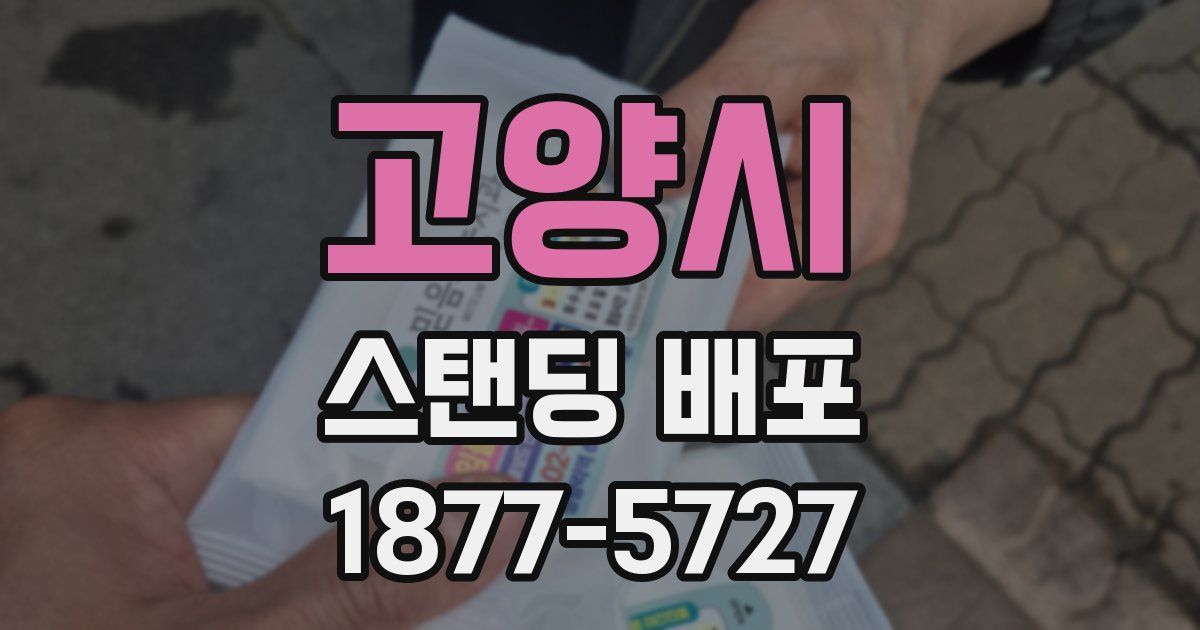 고양시 스탠딩 배포