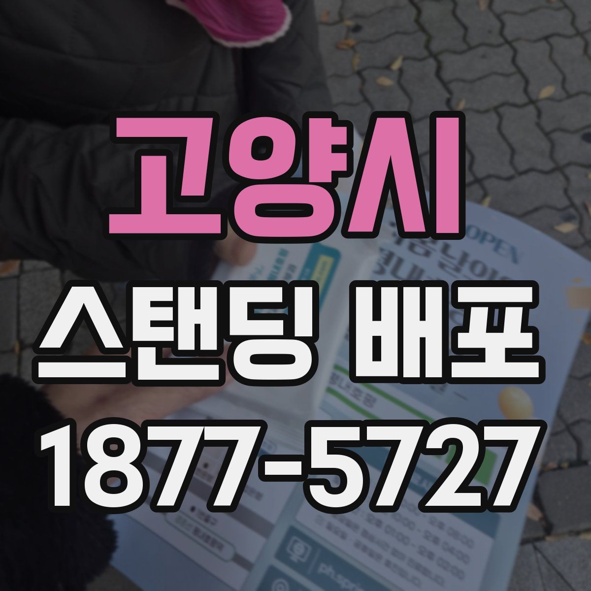 고양시 스탠딩 배포