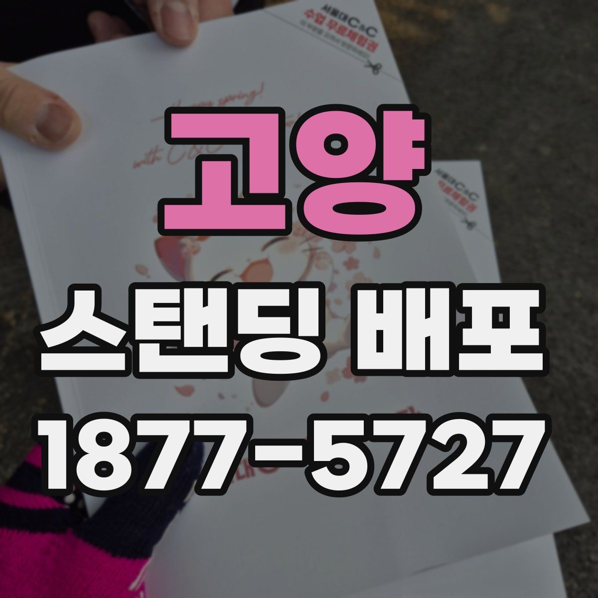 고양 스탠딩 배포